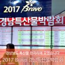 2017 bravo 경남 특산물 박람회 열리다