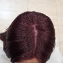 김정희 | [산곡역·청천동 미용실] 레드오렌지 염색으로 얼굴 톤 살린 컬러 체인지 후기_더보보헤어 김정희 원장