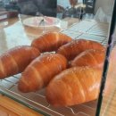 동해시-51 이미지