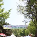 논산 탑정호글램핑 이미지