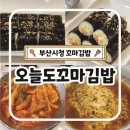 오늘도 | 부산시청 꼬마김밥 오늘도꼬마김밥 내돈내산 솔직후기