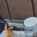 대심농장 이미지