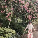 침수 된 지하 차도 전철~ 이미지