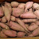 유재하농장 이미지