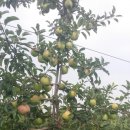 경호농장 이미지