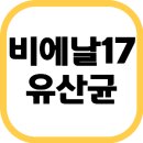 17 | 비에날17유산균 실제 후기·효능·부작용 총정리! : 장 건강과 면역력까지 가능한가?