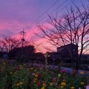 평택호1길 이미지