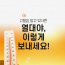 열대야 하이닥