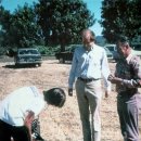 그르그르 이미지