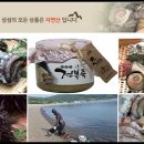 완도전복 이미지