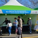 태백산맥거리3 이미지