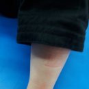 합기도 경무관 이미지