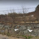 광재농장 이미지