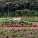 입곡문화공원 이미지