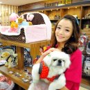 아이러브펫동물병원 이미지