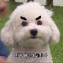 월