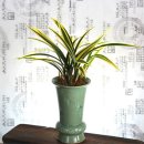 남지점 현대자동차 이미지