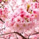 트럼펫연주 이미지