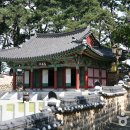 성지요 Daum카페
