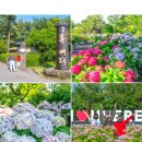 신례교차로 1 이미지