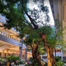 그린쇼핑센타 이미지