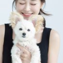 순심이네 펫 살롱 이미지