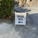 하미르펜션