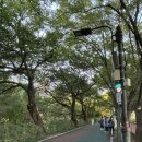 예그리나의원 | 동대문구 브루브루 맥주축제🍻| 중랑천에서 시원한 여름밤