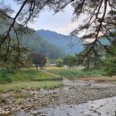 이동계곡 캠핑장 이미지