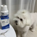 펫티시에 | [펫영양제] 강아지 고양이 모두 챙기는 면역 관리, 베타루킨 5mg 급여 후기