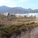 곡성산림마트 네이버블로그