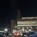 월수금;꽃 | 고터꽃시장 방문 후기(목요일23:30) 가는법 영업시간