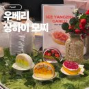 현대농수산 - 신안군 압해로 687 | 판교 현대백화점 디저트 우베리 상하이모찌 5월 팝업 망고 치케 모찌 먹어봄