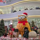 클래식음악과 함께하는 힐링여행 이미지