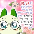 영진배선사 | 6월 1일-6월 15일