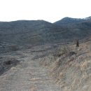 밤두둑농장 이미지