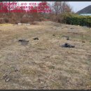 강동초 단구분교 이미지