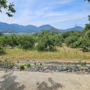 좋은공인중개사사사무소 이미지