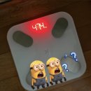 [공지] 바디프로필 촬영 당일 후기 w.치카서울