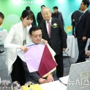 최상목 대통령 권한대행에게 맞는 색상은? 이미지