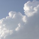 다육세상 이미지