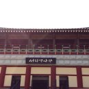 서희테마공원 이미지