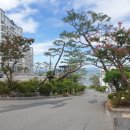 환상의바다리조트A동 이미지