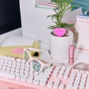 아티스안경원 이미지