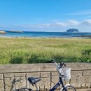 제주목화 | 제주 성산일출봉뷰 맥반석오징어구이 맛집 목화휴게소 가격 방문후기