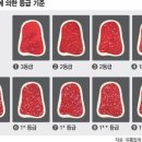이유식용 소고기 구매 기준 및 판매 사이트