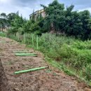 경포대초등학교 이미지