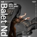 (공연) 체코 브르노 국립주니어 발레단 내한공연 네이버블로그