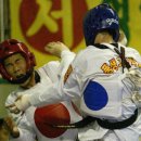 코리아태권도 체육관 이미지