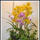 우리병원 앞 이미지